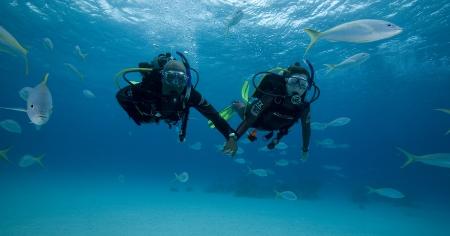 buceo