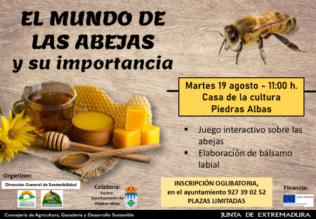 Imagen TALLER PARA ADULTOS 